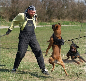 Training in Prague - 2. 4. 2008